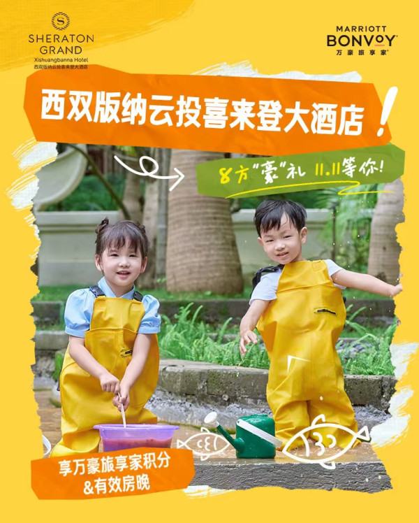 【双11大促】西双版纳云投喜来登酒店2-3晚连住+部分周末不加价