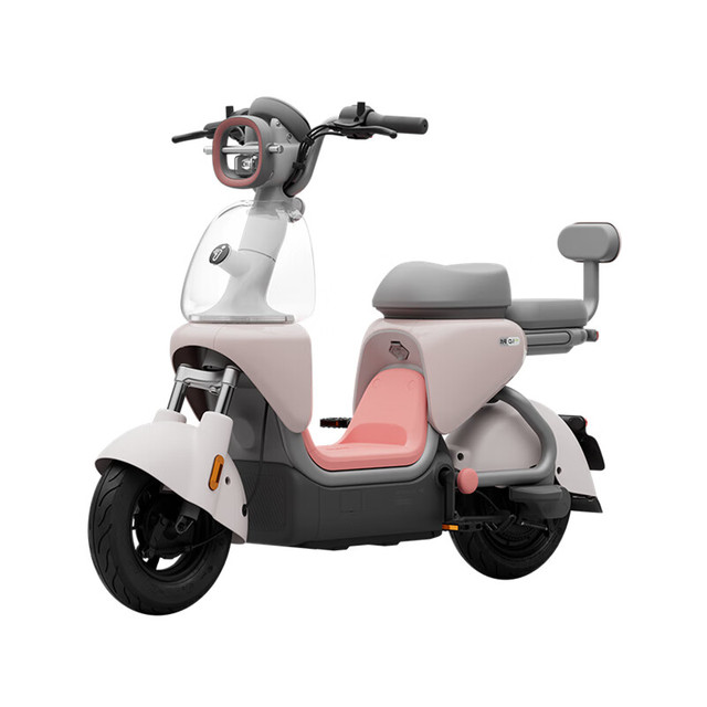九号 Qz1 MIX 电动自行车 智能智驾 长续航新国标可上牌 到门店选颜色