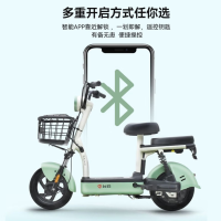 移动端、京东百亿补贴：台铃 电动自行车 48V13AH铅酸 小锦鲤小果粒欢乐豆浅韵灰