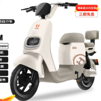 移动端、京东百亿补贴：宝岛电动车 BODO 电动自行车N18锂电48V24Ah星恒锂电长续航80km 暖咖色