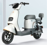 国家补贴：宝岛电动车 BODO 电动自行车N18锂电48V24Ah星恒锂电长续航80km 塔夫白