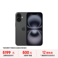 移动端、京东百亿补贴：苹果 Apple iPhone 16 5G手机 256GB 黑色