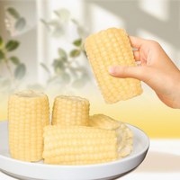 天地粮人 黑黄白糯玉米礼盒 220g*10支+东北白糯玉米 120g*20段