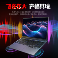 国家补贴：机械革命 蛟龙16Pro 2025 16英寸游戏电竞笔记本电脑(R9-8945HX 16G 1T RTX5060 300HZ  灰)