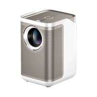 知麻 ZEEMR 投影机高清家用投影仪D1