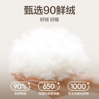 网易严选2590鸭绒轻暖羽绒服保暖0压感防泼水蓄热抗菌外套抗静电 A款2590鲜绒立领-水墨黑 XL