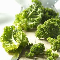 羽衣甘蓝250g-1500g  新鲜嫩叶甘兰kale榨汁西餐食材蔬菜沙拉