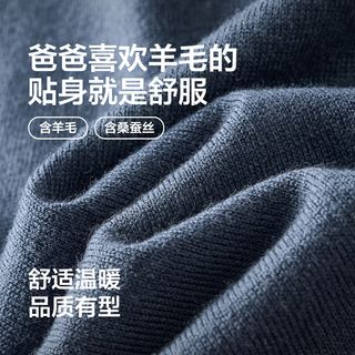 红豆针织衫男【含羊毛蚕丝】25秋柔软舒弹外穿打底衫长袖翻领t A2海涛蓝 XL 180/96A