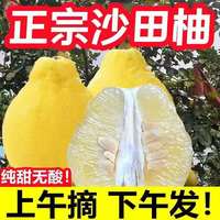 美礼正宗广西容县沙田柚新鲜水果当季时令孕妇柚子整箱纯甜