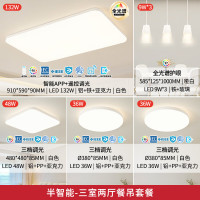 雷士 NVC 全光谱护眼智能吸顶防蚊虫灯具 三室两厅带餐吊