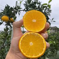 花慕辰四川眉山爱媛38号果冻橙手剥橙子新鲜应季水果 优品爱媛果冻橙 净重4.25斤