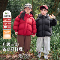 欧姆熊儿童羽绒服