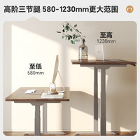 国家补贴：乐歌 电动升降桌电脑桌站立办公学习桌写字书桌 E5-N/1.4m雅白色套装