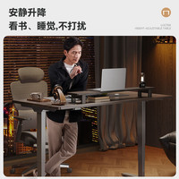 国家补贴：乐歌 电动升降桌电脑桌站立办公学习书桌E5X-1.4M灰木纹色
