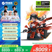 机械革命 翼龙16X 16英寸 游戏笔记本电脑(AI 9 H 365 32G 1T RTX5060 2.5K 300HZ 黑)