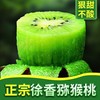 真谷塘 翠香 猕猴桃 大果 单果90-110g 24枚