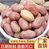 自然道 朱福记新五香花生米 五香+蒜香各一袋共约500g