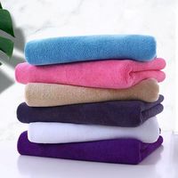 登进 超细纤维洗车毛巾擦车布吸水玻璃清洁 2条装30*70