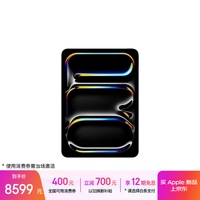 苹果 Apple iPad Pro 2025款 11.0英寸 平板电脑（Apple M5、256GB、WLAN版、深空黑色）