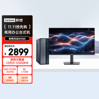 联想 Lenovo 百应M300 商用办公个人家用台式电脑主机 (酷睿12代i5-12450HX 16G 512G SSD)27英寸