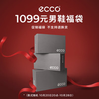 ecco 爱步 男鞋价1099元限量福袋（不支持退换货介意慎拍）  （内含2件鞋款，款式）41