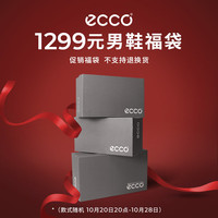 ecco 爱步 男鞋价1299元限量福袋（内含2双鞋，不支持退换货介意慎拍）  41