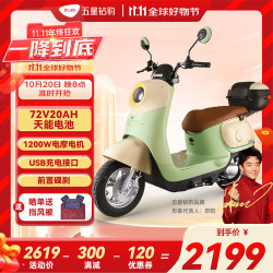 五星钻豹 G2 电动摩托车 ZB1200DT-37 星空牛果绿