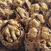 老才臣贵州赫章薄皮核桃当季新货干核桃大果贵州赫章核桃 3斤大果(+夹子)