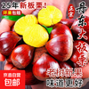 京喜自营-专用品牌 加 丹东 糯甜板栗 0.5斤