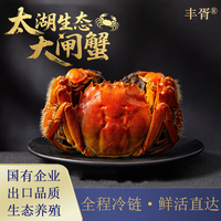 【活蟹】丰胥太湖鲜活大闸蟹 公蟹母蟹 公4.9-5.1两 母3.9-4.1两 5对10只 礼盒装 太湖大闸蟹
