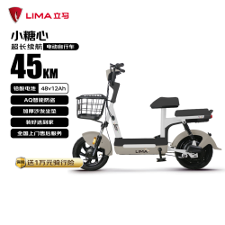 立马电动车 立马小糖心电动自行车铅酸电池48V12Ah上班代步新国标电瓶车欢乐豆小锦鲤 莫奈棕