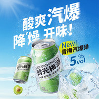 江记酒庄 时光梅气泡酒 330ml 5度 单罐装