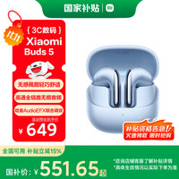 小米 Xiaomi Buds 5 半入耳式真无线蓝牙耳机 冰霜蓝 Type-C