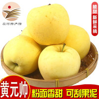鲜姿大连黄元帅苹果应季金帅新鲜水果 4.5斤中果(70-75mm+)