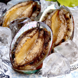 祥斌 鲜冻鲍鱼 净重160g 8-10粒