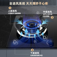 樱雪Q2520燃气灶煤气灶家用厨房灶具台嵌双灶天然气液化气灶44