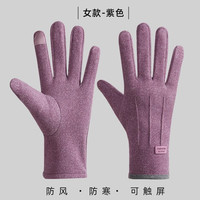卫墨墨手套女士冬季2025年骑车防风保暖冬天加绒防寒触屏电动车 女款紫色 L