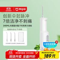 移动端、京东百亿补贴：米家 MIJIA F300 冲牙器 烟纱白