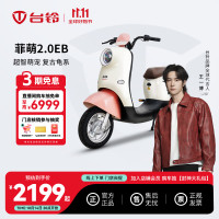 台铃 菲萌2.0EB 电动自行车 到店选购颜色