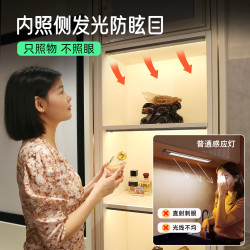 得利来 DOLILO 超薄充电感应灯21CM人体感应棱晶光学增亮款