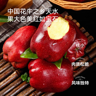 京鲜生天水花牛苹果