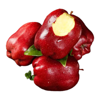 京鲜生天水花牛苹果 净重3斤 单果170g+