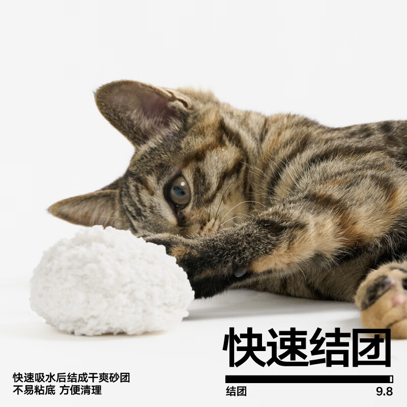 彼诞 pidan猫砂 木薯猫砂 不易化粉快速结团植物砂 2.4kg款4包装