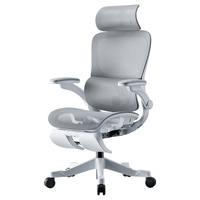 黑白调P2 Pro+人体工学电脑椅 新P2Pro+【麦肯基4D腰托】霜白 脚托 电脑椅 人体工学设计 可调节腰托 脚托 气压升降 联动扶手 办公椅 久坐人群 需要腰部支撑者