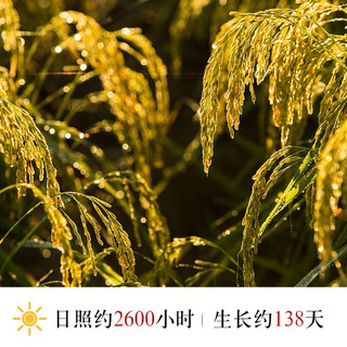 饭大师五常大米锁鲜米独立小包米黑龙江稻香东北大米