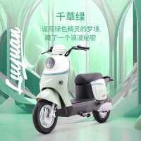国家补贴：绿源 电动自行车ZOF 新国标电动车可上牌 48V24h锂电  到门店选颜色（无需驾照）