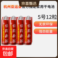 华虹 HWAHONG HUAHONG）5号电池五号碳性干电池适用于耳温枪/血压计/血糖仪/鼠标等5号/AA/R6P 12粒