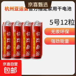 华虹 HWAHONG HUAHONG）5号电池五号碳性干电池适用于耳温枪/血压计/血糖仪/鼠标等5号/AA/R6P 12粒