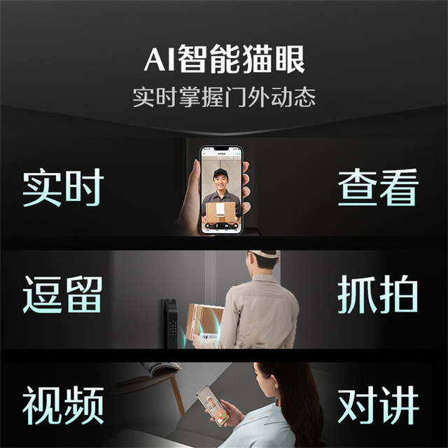 今日必买：德施曼 Q5FPRO 人脸识别智能门锁
