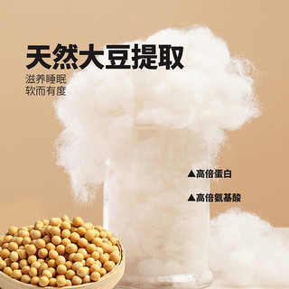 晚安家纺加厚保暖子母被大豆纤维冬被二合一被子春秋被被芯抑菌被